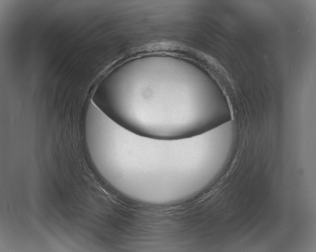 X0000083991217200702160722