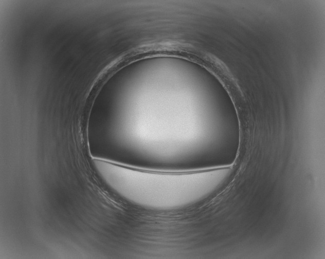 X0000083991218200702160722