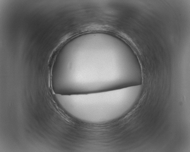 X0000083991219200702160722