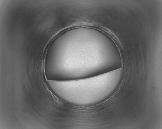 X0000083991220200702160722