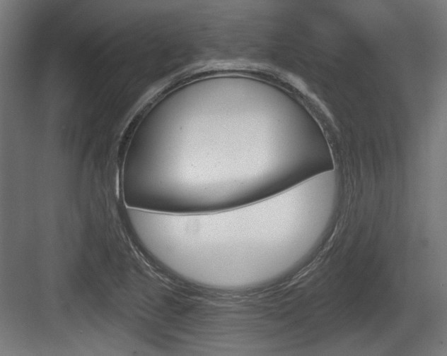 X0000083991221200702160722