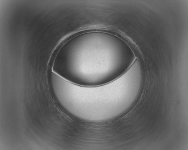 X0000083991222200702160722