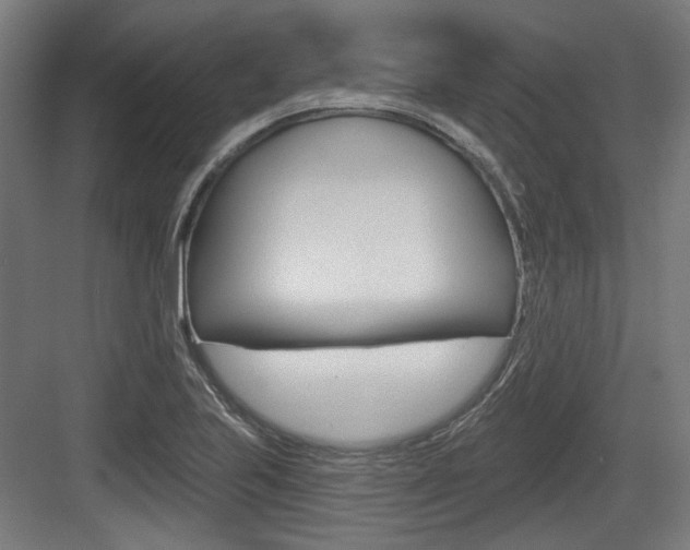 X0000083991223200702160722