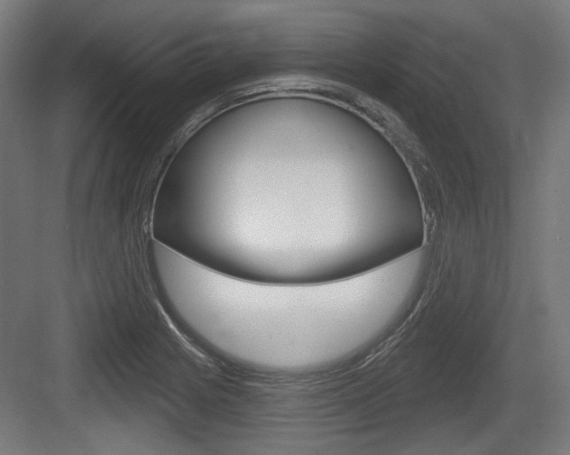 X0000083991225200702160722