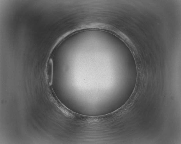 X0000083991230200702160722