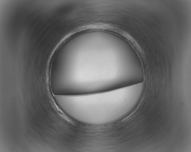 X0000083991232200702160722