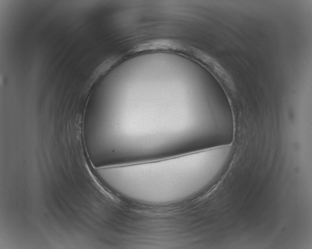 X0000083991233200702160722