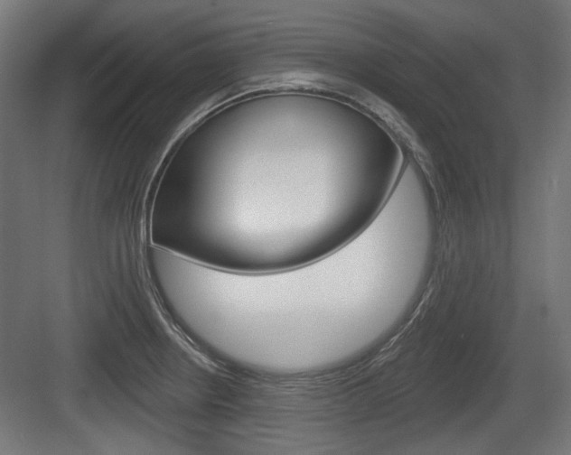 X0000083991234200702160722