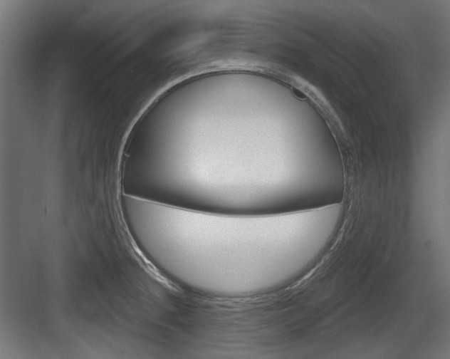 X0000083991236200702160722