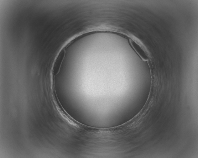 X0000083991238200702160722