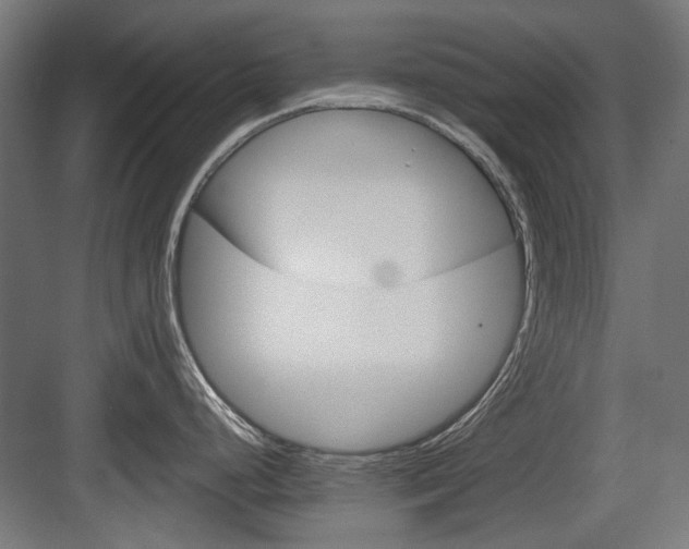 X0000083991248200702160722