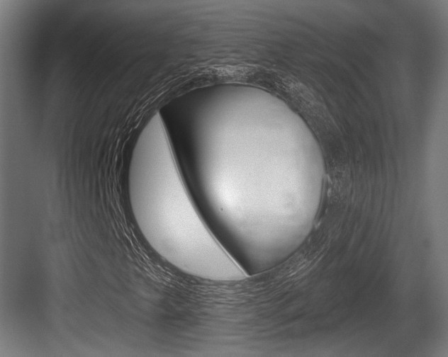X0000083991249200702160722