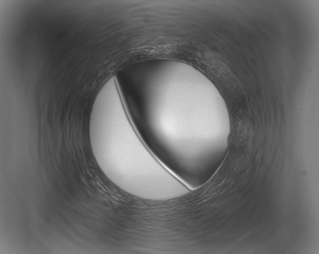 X0000083991250200702160722