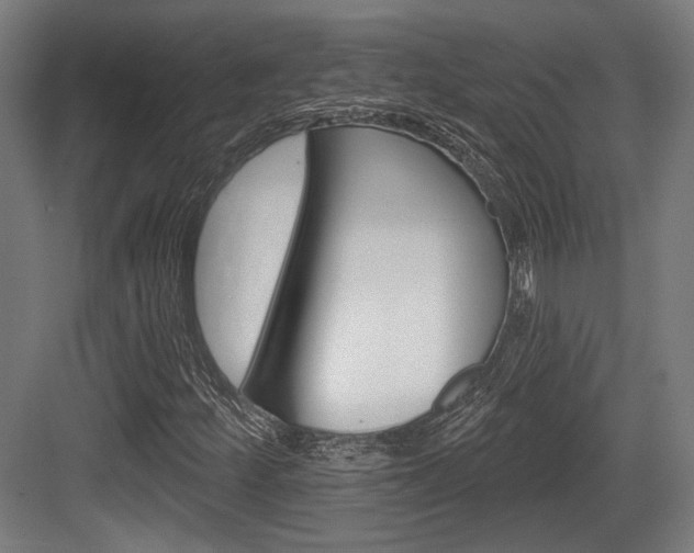 X0000083991252200702160722