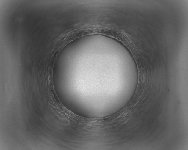 X0000083991253200702160722