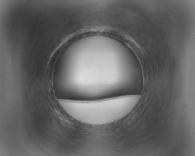 X0000083991256200702160721