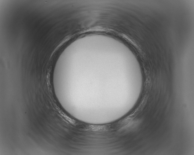 X0000083991258200702160721
