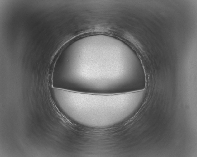 X0000083991260200702160721