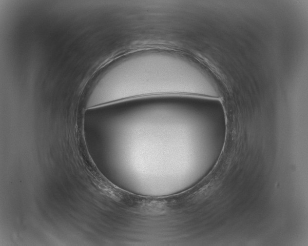 X0000083991261200702160721