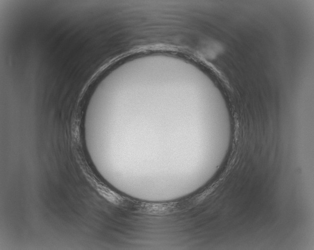 X0000083991266200702160721