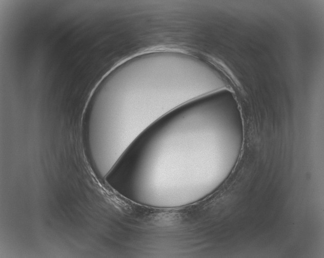 X0000083991268200702160721