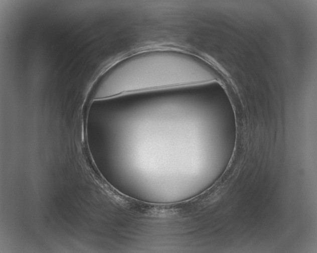 X0000083991269200702160721