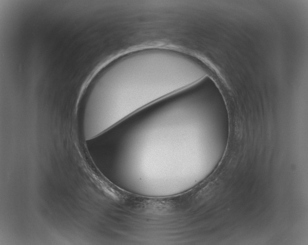 X0000083991270200702160721