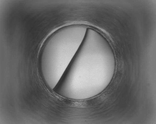 X0000083991271200702160721