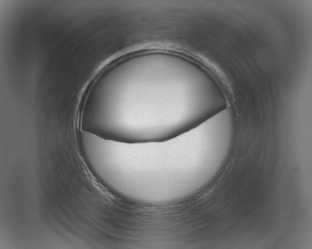 X0000083991272200702160721