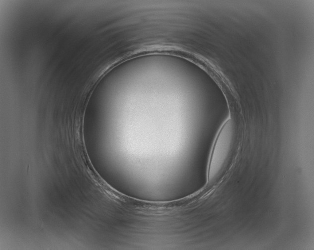 X0000083991273200702160721