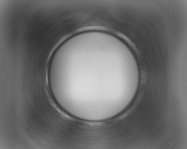 X0000083991274200702160721
