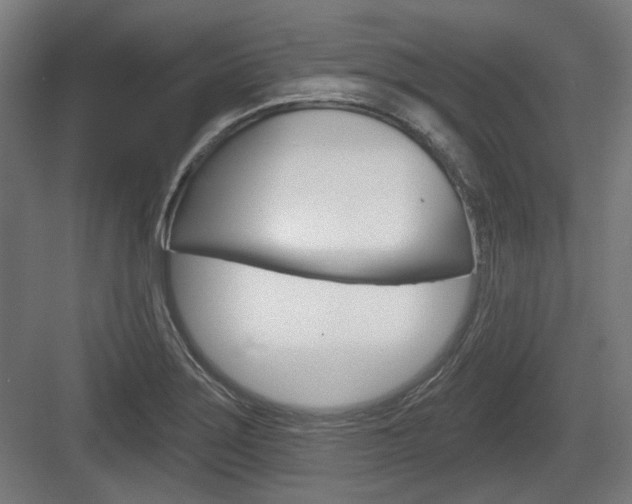 X0000083991275200702160721