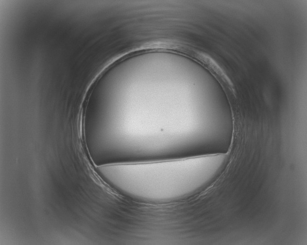 X0000083991276200702160721