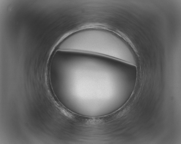 X0000083991277200702160721