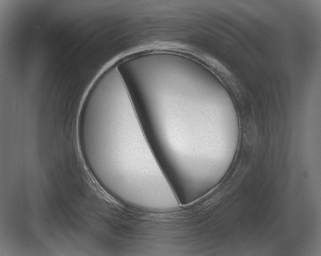 X0000083991280200702160721
