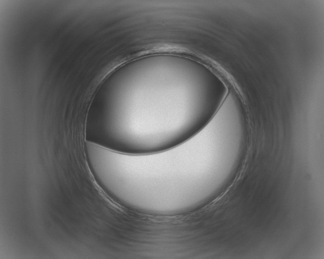 X0000083991281200702160721