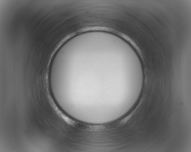 X0000083991282200702160721