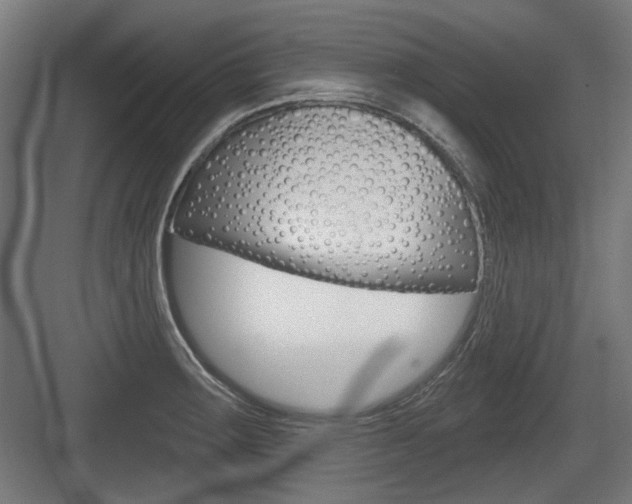 X0000083991283200702160721