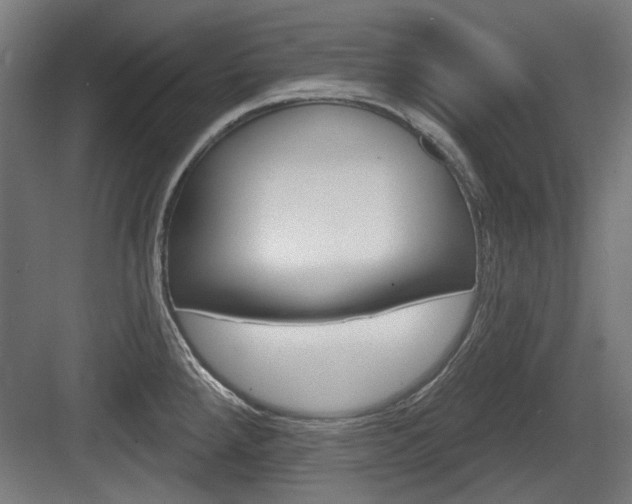 X0000083991288200702160721