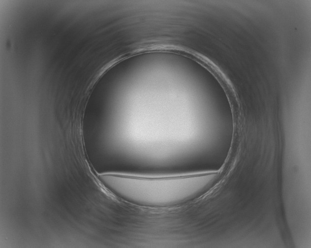 X0000083991289200702160721