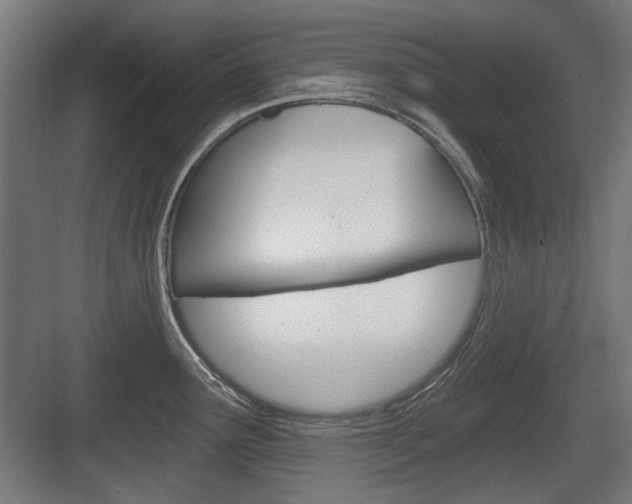 X0000083991291200702160721
