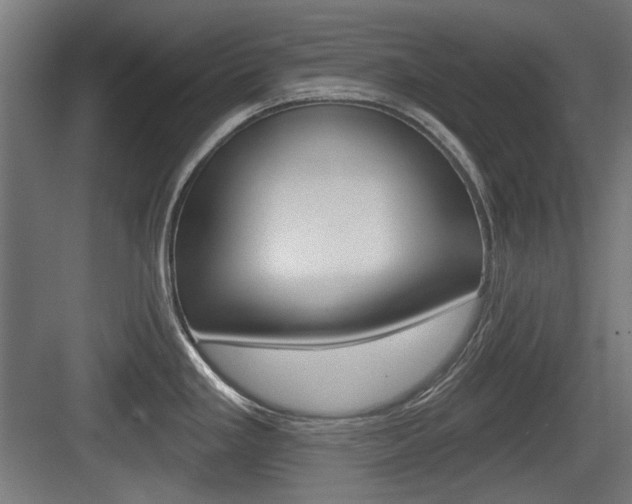 X0000083991293200702160721