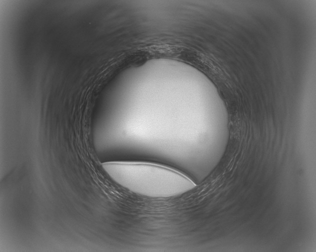 X0000083991297200702160720