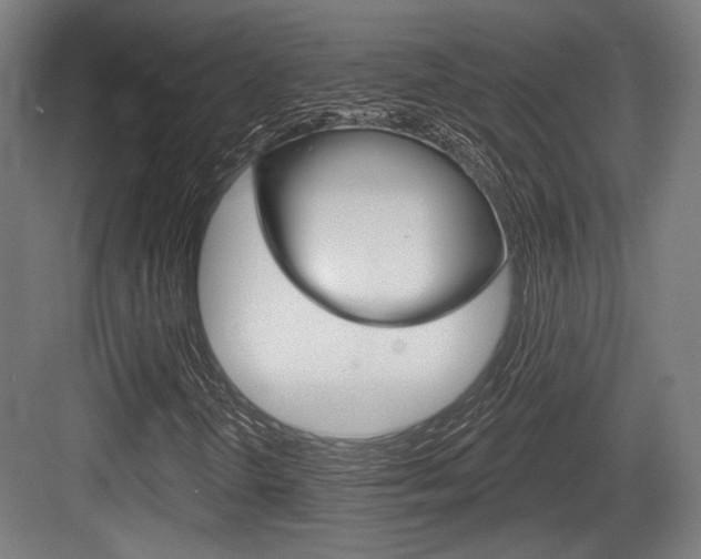 X0000083991298200702160720