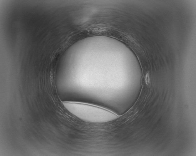 X0000083991299200702160720