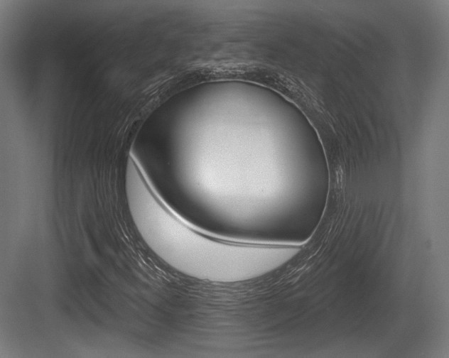 X0000083991300200702160720