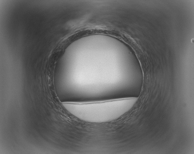 X0000083991303200702160720