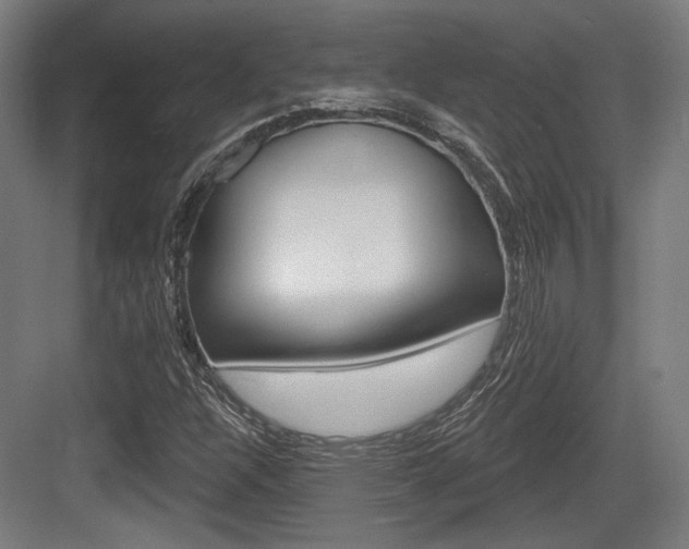 X0000083991304200702160720