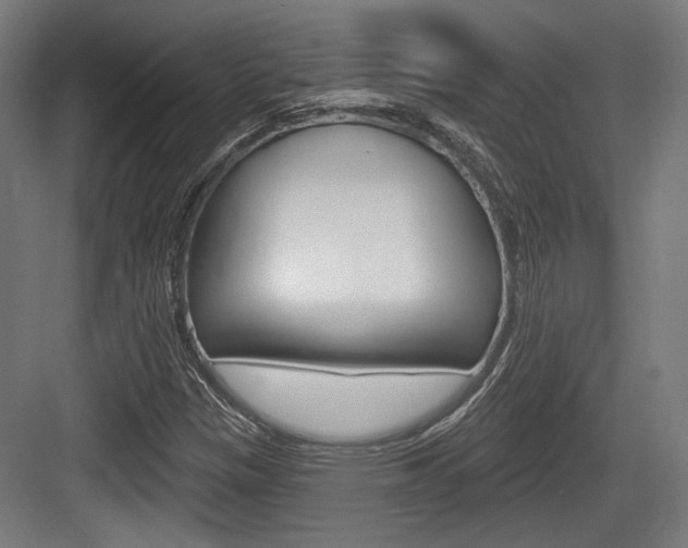 X0000083991305200702160720