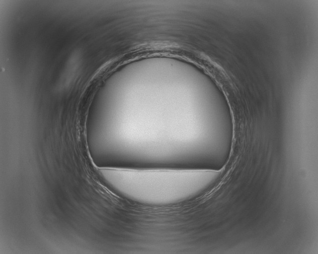 X0000083991306200702160720